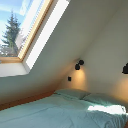 Montana * קופאוניק